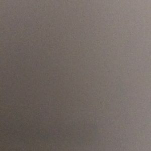 Meet your Posher, Tausha